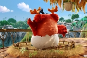 Angry Birds � ����