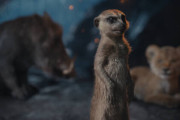 ������: ������ ���